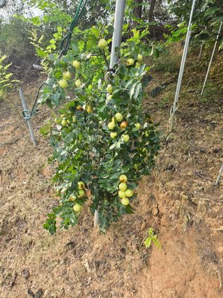 자연인님의 자유주제 · 자유게시판 작성글 사진