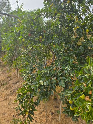 자연인님의 자유주제 · 자유게시판 작성글 사진