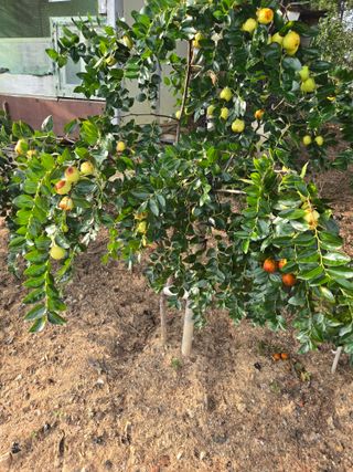 자연인님의 자유주제 · 자유게시판 작성글 사진