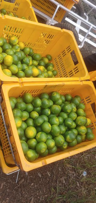 원경님의 작성글 사진