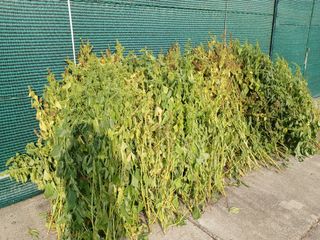 알 수 없음님의 자유주제 · 자유게시판 작성글 사진