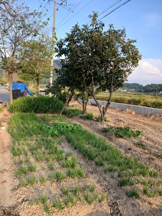 형아님의 자유주제 · 자유게시판 작성글 사진