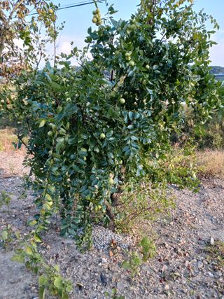 형아님의 자유주제 · 자유게시판 작성글 사진