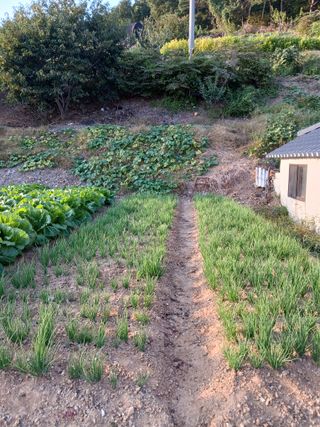 형아님의 자유주제 · 자유게시판 작성글 사진