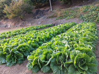 형아님의 자유주제 · 자유게시판 작성글 사진