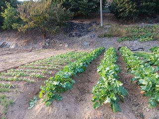 형아님의 자유주제 · 자유게시판 작성글 사진