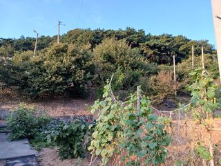 형아님의 자유주제 · 자유게시판 작성글 사진