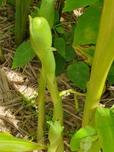 팜모닝 자유주제·자유게시판 게시글 이미지