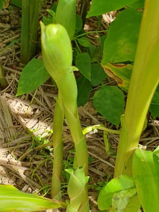 주옥님의 자유주제 · 자유게시판 작성글 사진