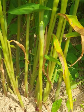 주옥님의 자유주제 · 자유게시판 작성글 사진