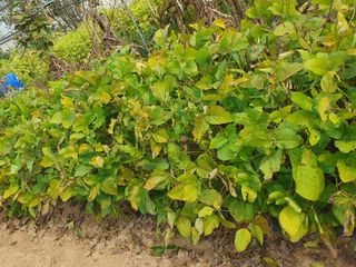 주옥님의 자유주제 · 자유게시판 작성글 사진