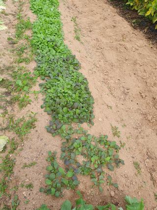 주옥님의 자유주제 · 자유게시판 작성글 사진