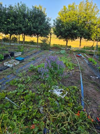 이수현님의 자유주제 · 자유게시판 작성글 사진