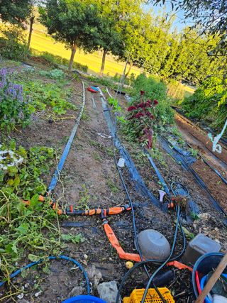 이수현님의 자유주제 · 자유게시판 작성글 사진