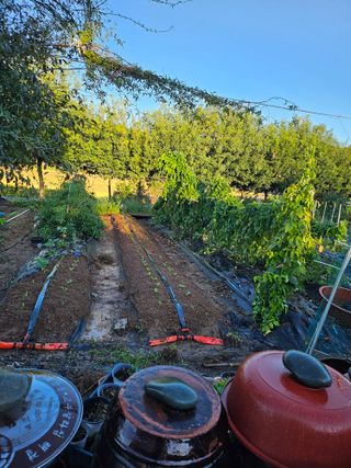 이수현님의 자유주제 · 자유게시판 작성글 사진