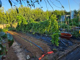 이수현님의 자유주제 · 자유게시판 작성글 사진