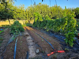 이수현님의 자유주제 · 자유게시판 작성글 사진