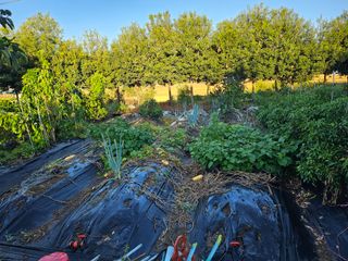 이수현님의 자유주제 · 자유게시판 작성글 사진