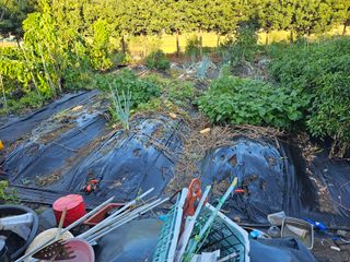 이수현님의 자유주제 · 자유게시판 작성글 사진