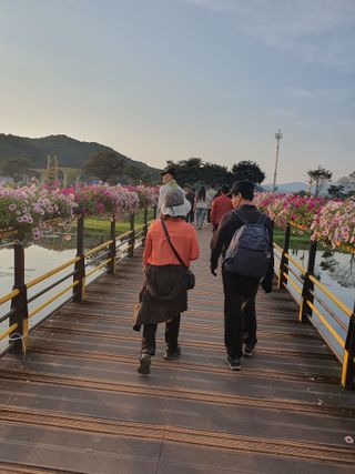 작은소나무님의 자유주제 · 자유게시판 작성글 사진