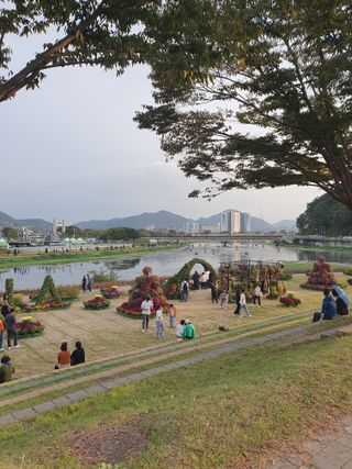 작은소나무님의 자유주제 · 자유게시판 작성글 사진