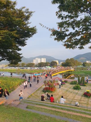 작은소나무님의 자유주제 · 자유게시판 작성글 사진