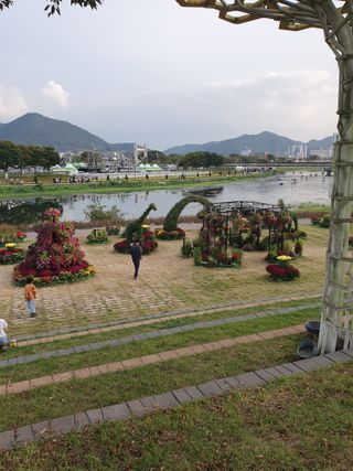 작은소나무님의 자유주제 · 자유게시판 작성글 사진