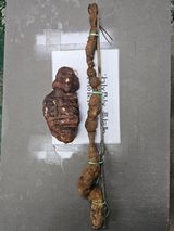 팜모닝 자유주제·자유게시판 게시글 이미지