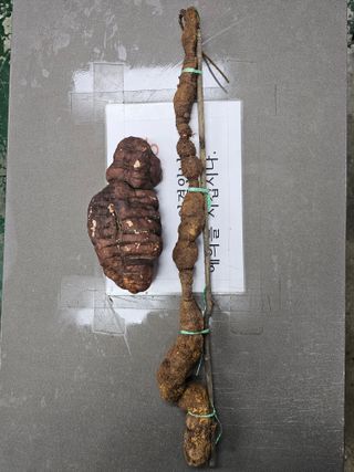 장학진님의 자유주제 · 자유게시판 작성글 사진