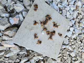 서동일님의 자유주제 · 자유게시판 작성글 사진