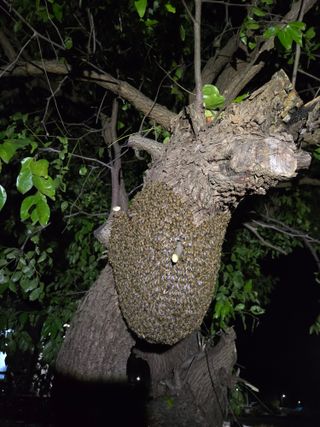 서동일님의 자유주제 · 자유게시판 작성글 사진