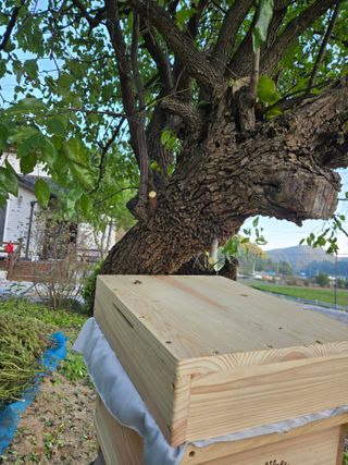 서동일님의 자유주제 · 자유게시판 작성글 사진