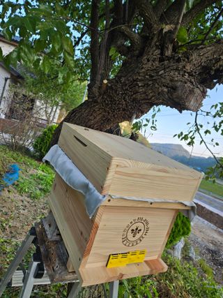 서동일님의 자유주제 · 자유게시판 작성글 사진