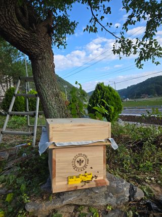 서동일님의 자유주제 · 자유게시판 작성글 사진