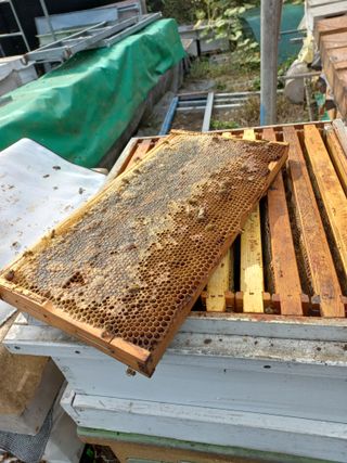 한학수님의 자유주제 · 자유게시판 작성글 사진