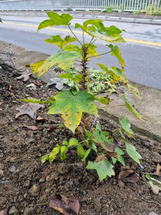 김용대님의 자유주제 · 자유게시판 작성글 사진