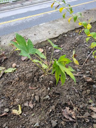 김용대님의 자유주제 · 자유게시판 작성글 사진