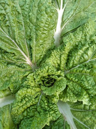 자두9376님의 자유주제 · 자유게시판 작성글 사진