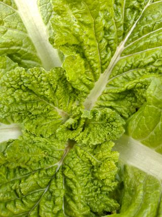 자두9376님의 자유주제 · 자유게시판 작성글 사진