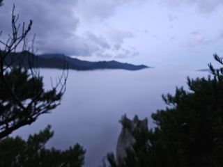 김시헌 님의 기타작물 · 영농일지 작성글 사진