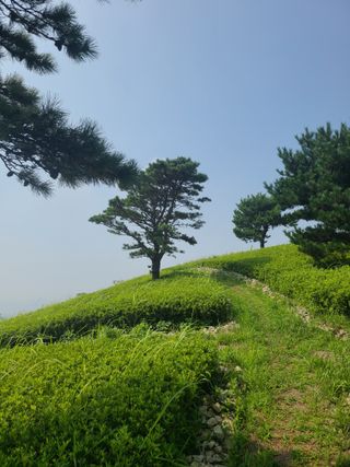 동메골사나이님의 [팜춘문예] 짧은 시 쓰기| 2024 · 참여글 작성글 사진