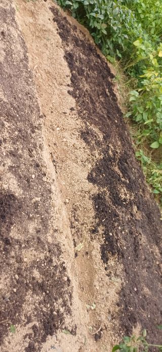 초보퍼머5도2촌준비님의 자유주제 · 자유게시판 작성글 사진