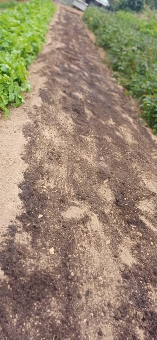 초보퍼머5도2촌준비님의 자유주제 · 자유게시판 작성글 사진