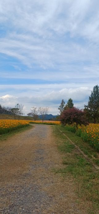 초보퍼머5도2촌준비님의 자유주제 · 자유게시판 작성글 사진