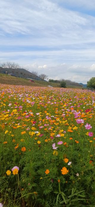 초보퍼머5도2촌준비님의 자유주제 · 자유게시판 작성글 사진
