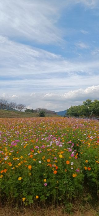 초보퍼머5도2촌준비님의 자유주제 · 자유게시판 작성글 사진