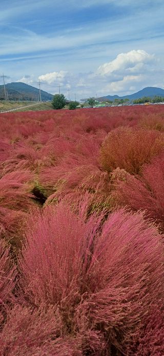초보퍼머5도2촌준비님의 자유주제 · 자유게시판 작성글 사진