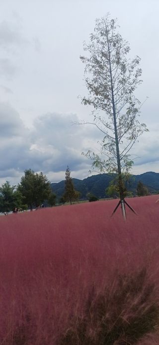 초보퍼머5도2촌준비님의 자유주제 · 자유게시판 작성글 사진