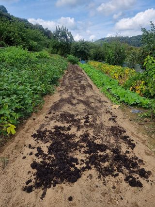 초보퍼머5도2촌준비님의 자유주제 · 자유게시판 작성글 사진
