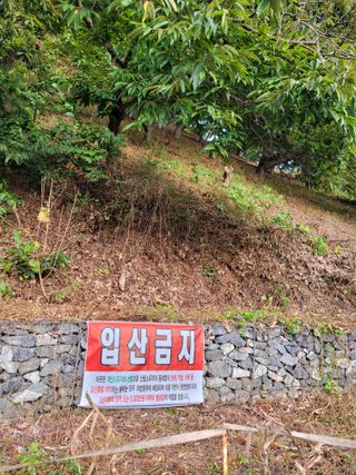 홍가네수정농장님의 기타작물 · 영농일지 작성글 사진